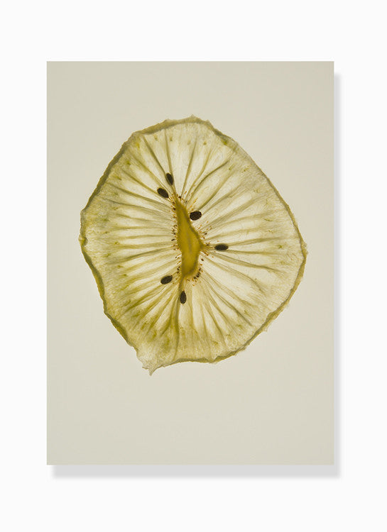 dehydrated kiwi print by Frema