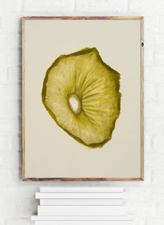 dehydrated kiwi print by Frema