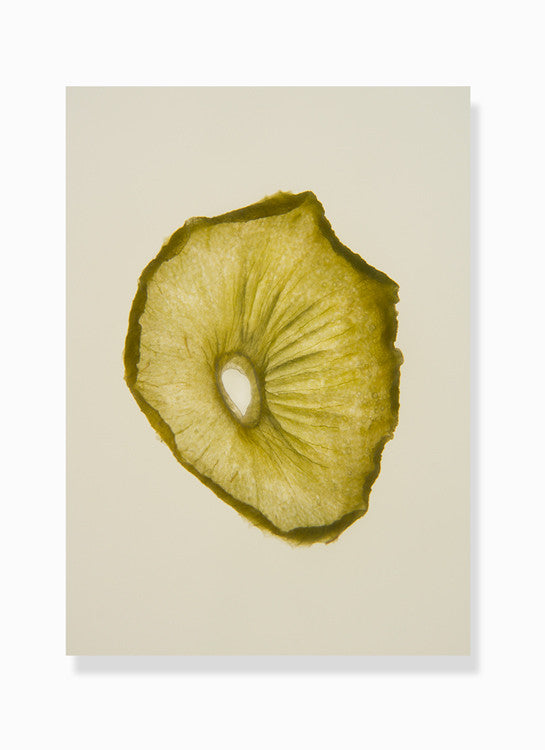 dehydrated kiwi print by Frema
