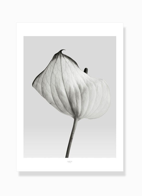 Nature no. 1 - byFrema