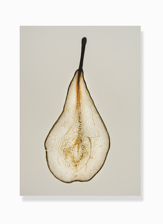 dehydrated pear print by Frema