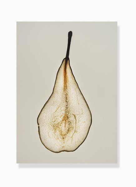dehydrated pear print by Frema