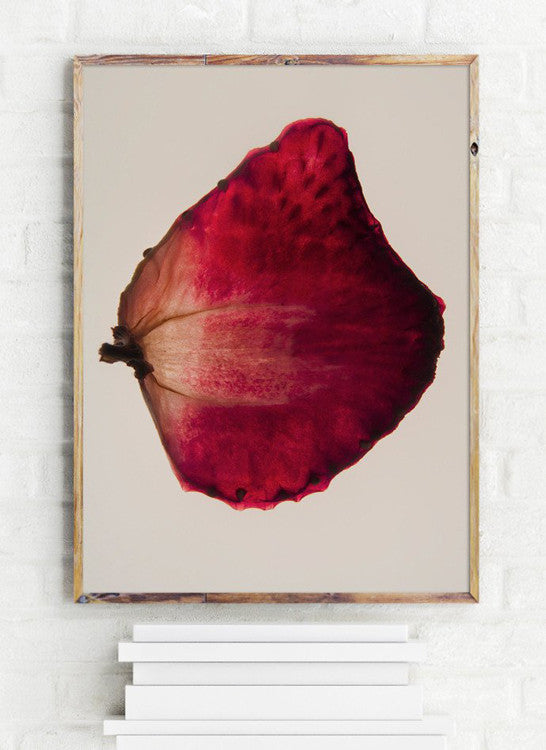 dehydrated strawberry print by Frema