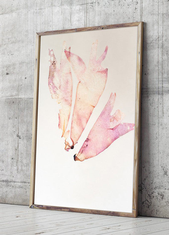 fotografisk tang print kunstplakat by Frema tangbilleder