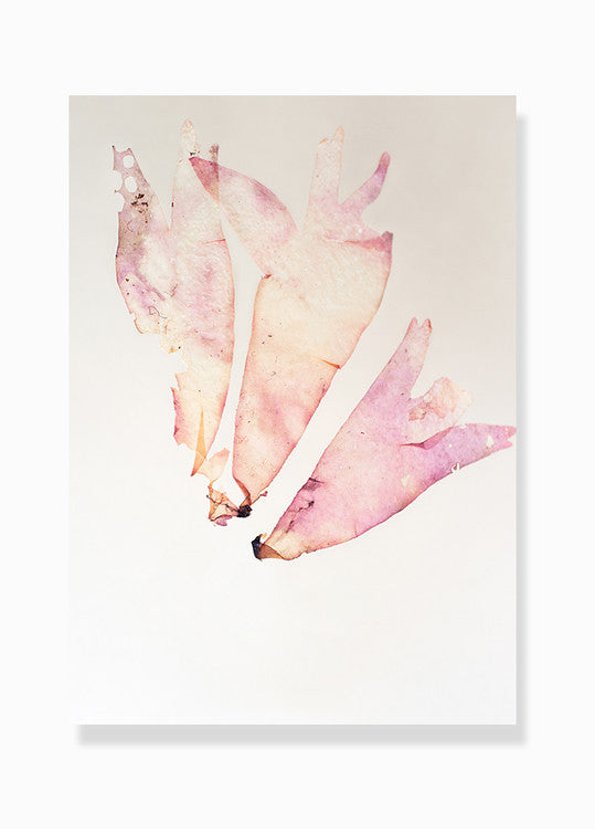 fotografisk tang print kunstplakat by Frema tangbilleder