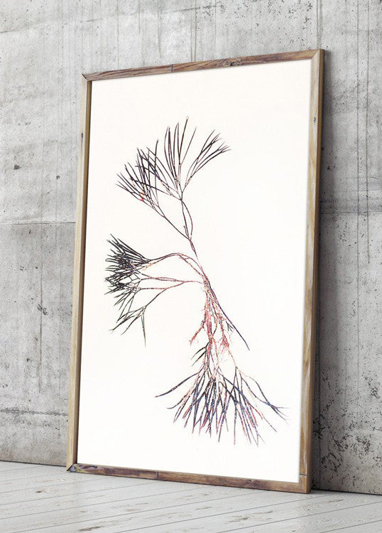 fotografisk tang print kunstplakat by Frema tangbilleder