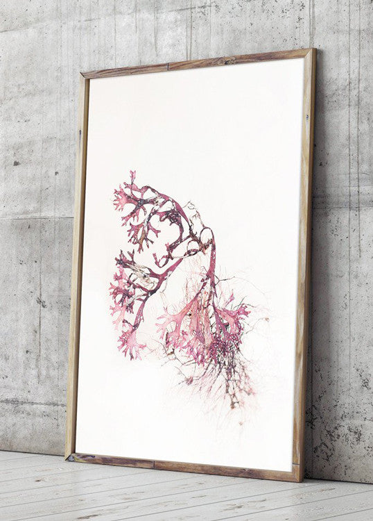 fotografisk tang print kunstplakat by Frema tangbilleder