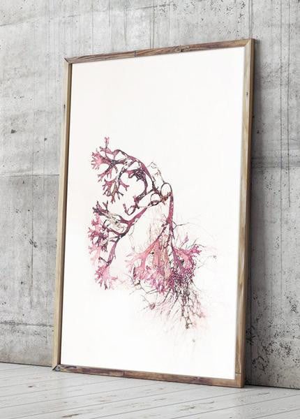 fotografisk tang print kunstplakat by Frema tangbilleder