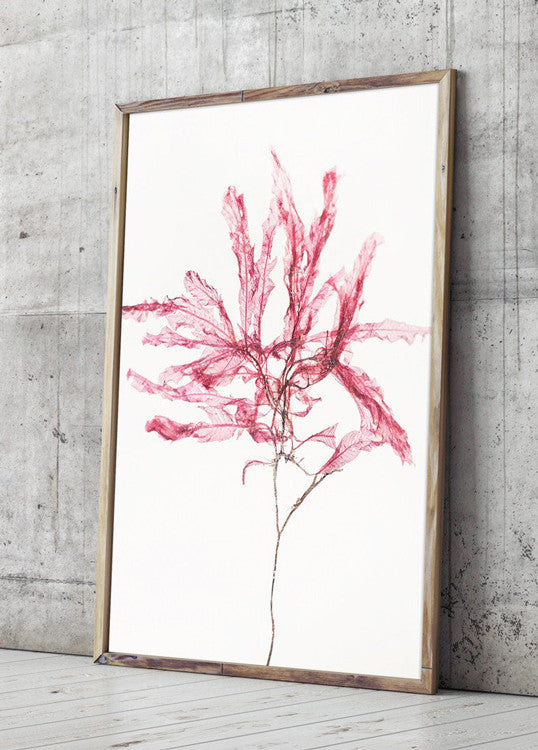 fotografisk tang print kunstplakat by Frema tangbilleder