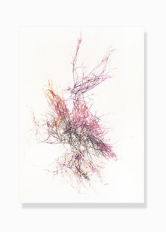 fotografisk tang print kunstplakat by Frema tangbilleder