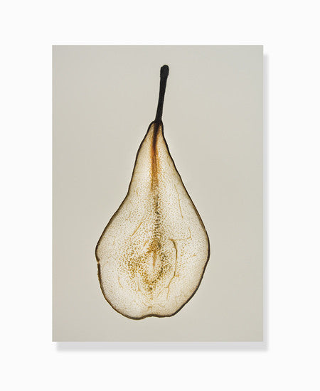 dehydrated pear print by Frema
