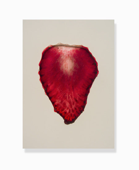 dehydrated strawberry print by Frema