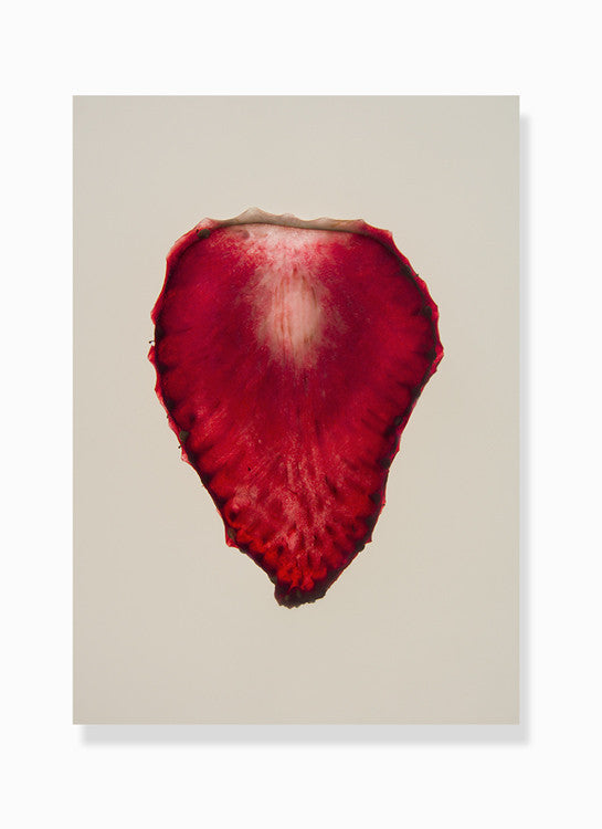 dehydrated strawberry print by Frema